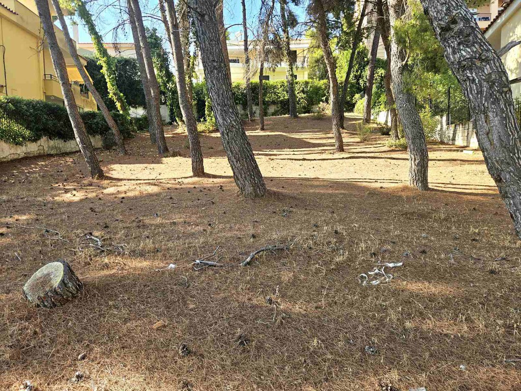 Οικόπεδο 700 τ.μ. προς πώληση, Άνοιξη