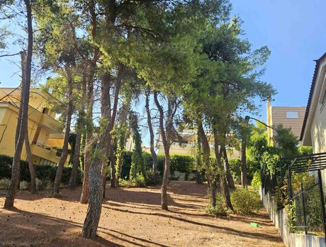 Land plot 700sqm for sale-Anoixi