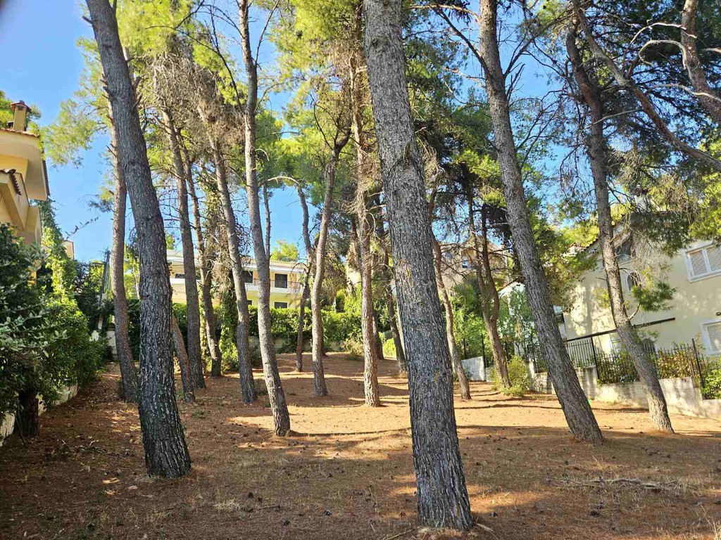Οικόπεδο 700 τ.μ. προς πώληση, Άνοιξη