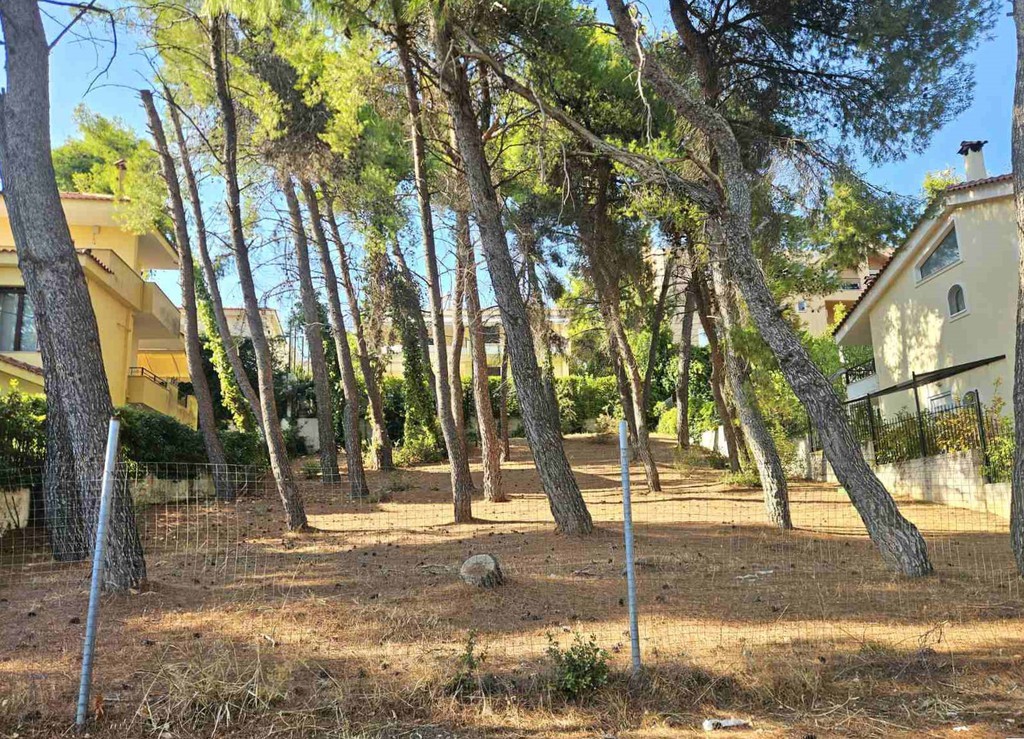 Οικόπεδο 700 τ.μ. προς πώληση, Άνοιξη
