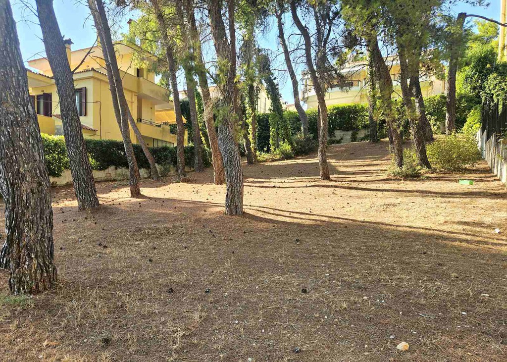 Οικόπεδο 700 τ.μ. προς πώληση, Άνοιξη