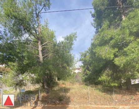 Οικόπεδο 802τ.μ. για πώληση-Διόνυσος