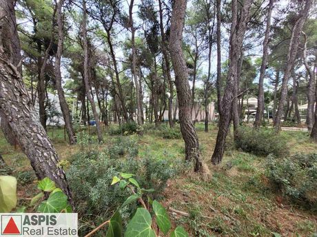 Οικόπεδο 1.320τ.μ. για πώληση-Άνοιξη