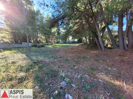 Οικόπεδο 800τ.μ. για πώληση-Διόνυσος