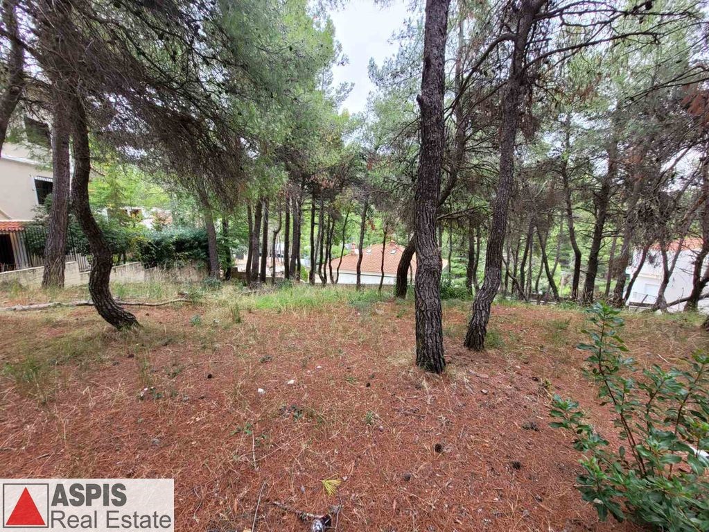 Οικόπεδο 1.321 τ.μ. προς πώληση, Διόνυσος