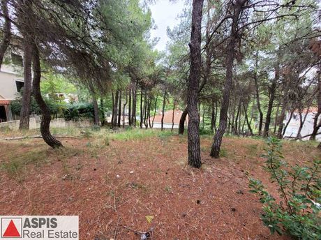 Οικόπεδο 1.321τ.μ. για πώληση-Διόνυσος