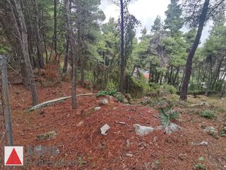 Οικόπεδο 820 τ.μ. προς πώληση, Διόνυσος-thumb-1