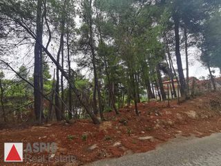 Οικόπεδο 820 τ.μ. προς πώληση, Διόνυσος-thumb-3