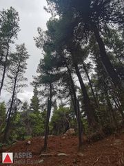 Οικόπεδο 820 τ.μ. προς πώληση, Διόνυσος-thumb-2