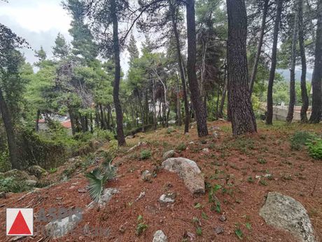 Οικόπεδο 820τ.μ. για πώληση-Διόνυσος