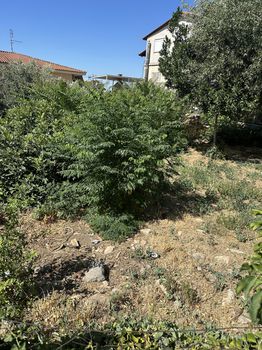 Οικόπεδο 275τ.μ. για πώληση-Άνοιξη