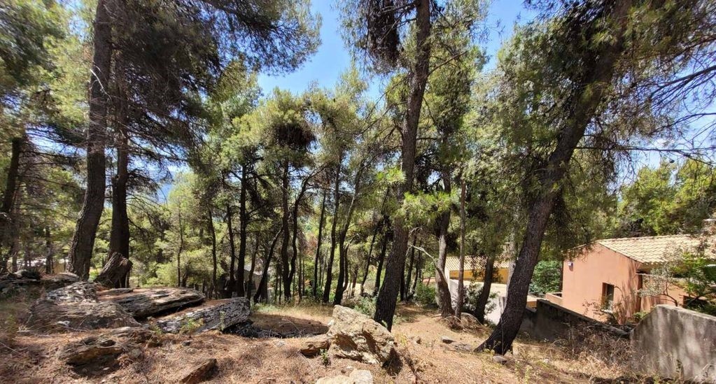 Οικόπεδο 820 τ.μ. προς πώληση, Διόνυσος