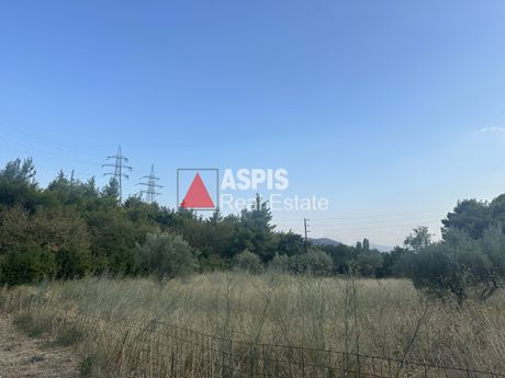 Οικόπεδο 1.623τ.μ. για πώληση-Κρυονέρι