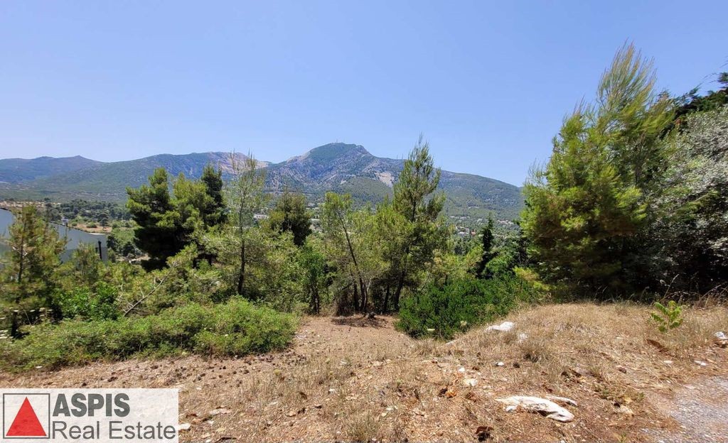 Οικόπεδο 827 τ.μ. προς πώληση, Διόνυσος