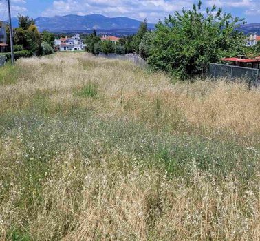 Οικόπεδο 3.697τ.μ. για πώληση-Άνοιξη