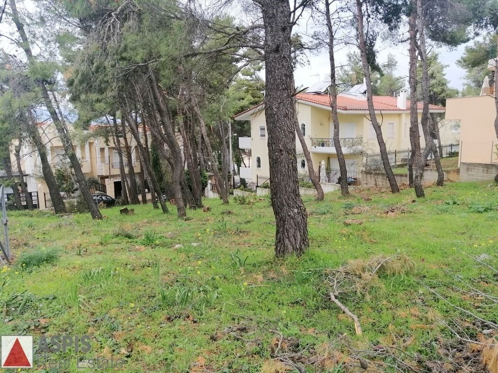 Οικόπεδο 490 τ.μ. προς πώληση, Άγιος Στέφανος