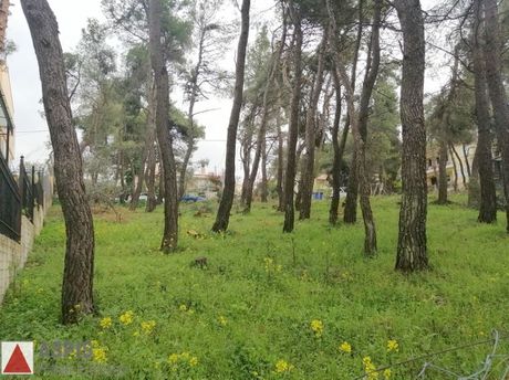 Οικόπεδο 490τ.μ. για πώληση-Άγιος στέφανος