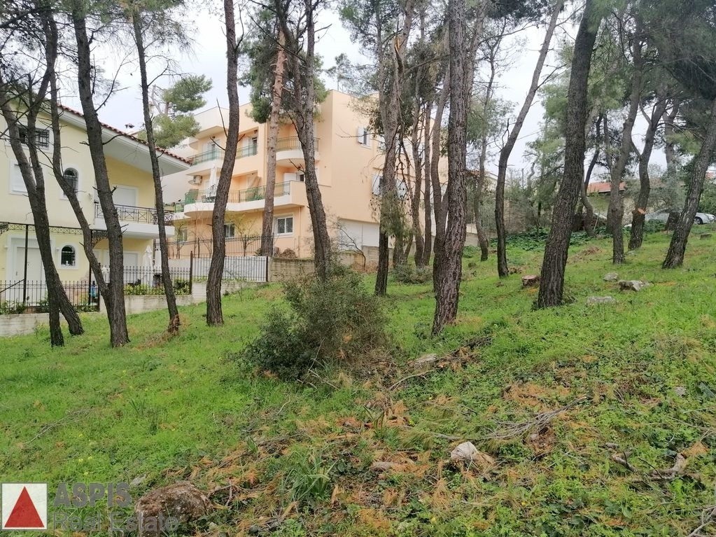 Οικόπεδο 490 τ.μ. προς πώληση, Άγιος Στέφανος