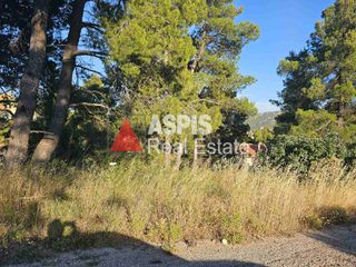 Οικόπεδο 2.063 τ.μ. για πώληση