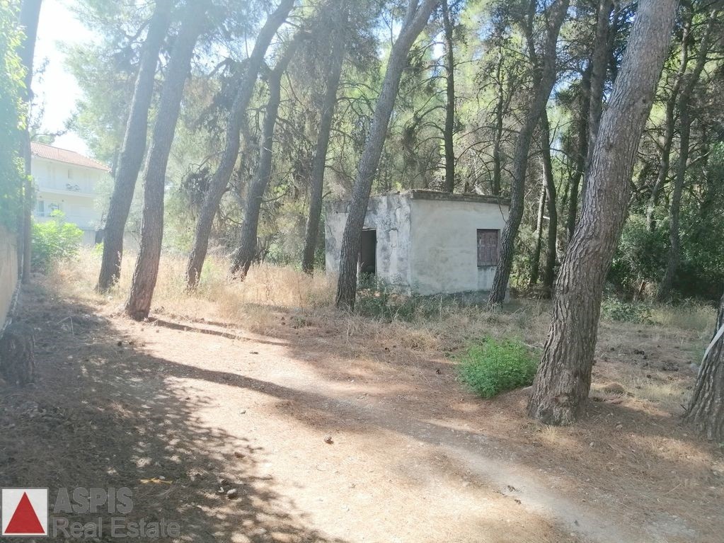Οικόπεδο 834 τ.μ. προς πώληση, Άνοιξη