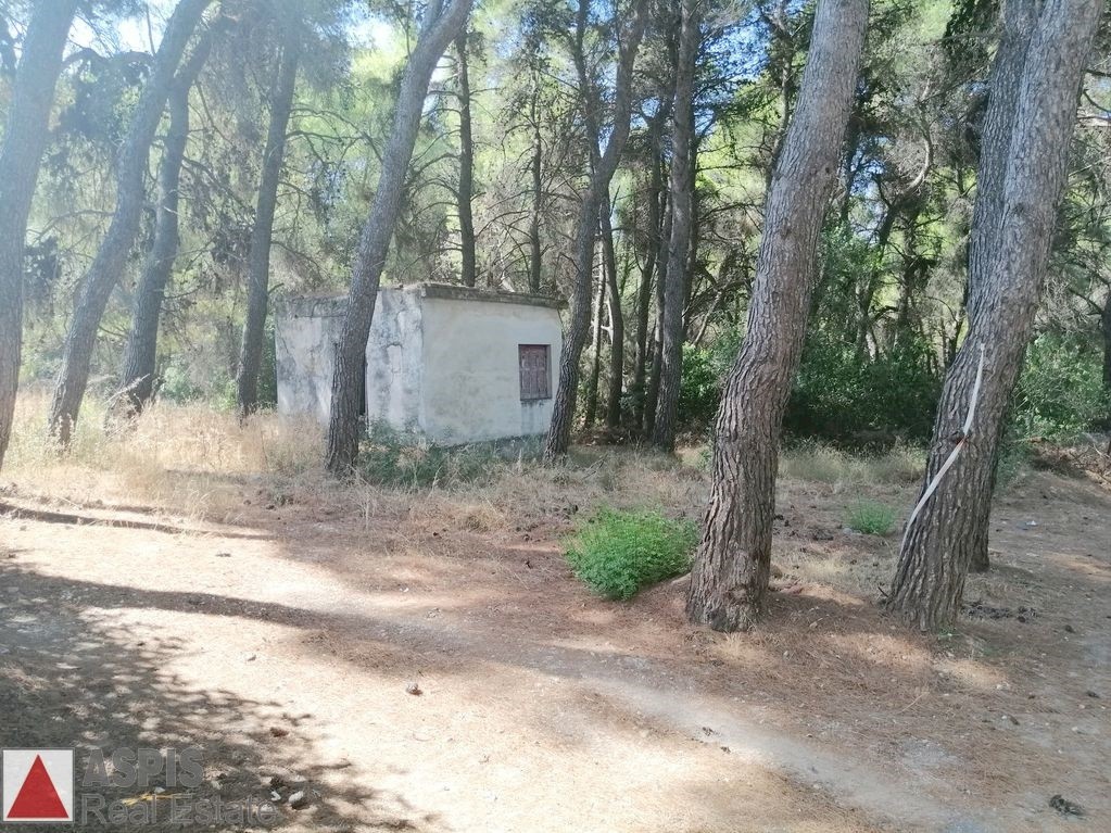 Οικόπεδο 834 τ.μ. προς πώληση, Άνοιξη