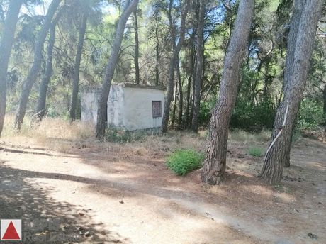 Οικόπεδο 834 τ.μ. για πώληση