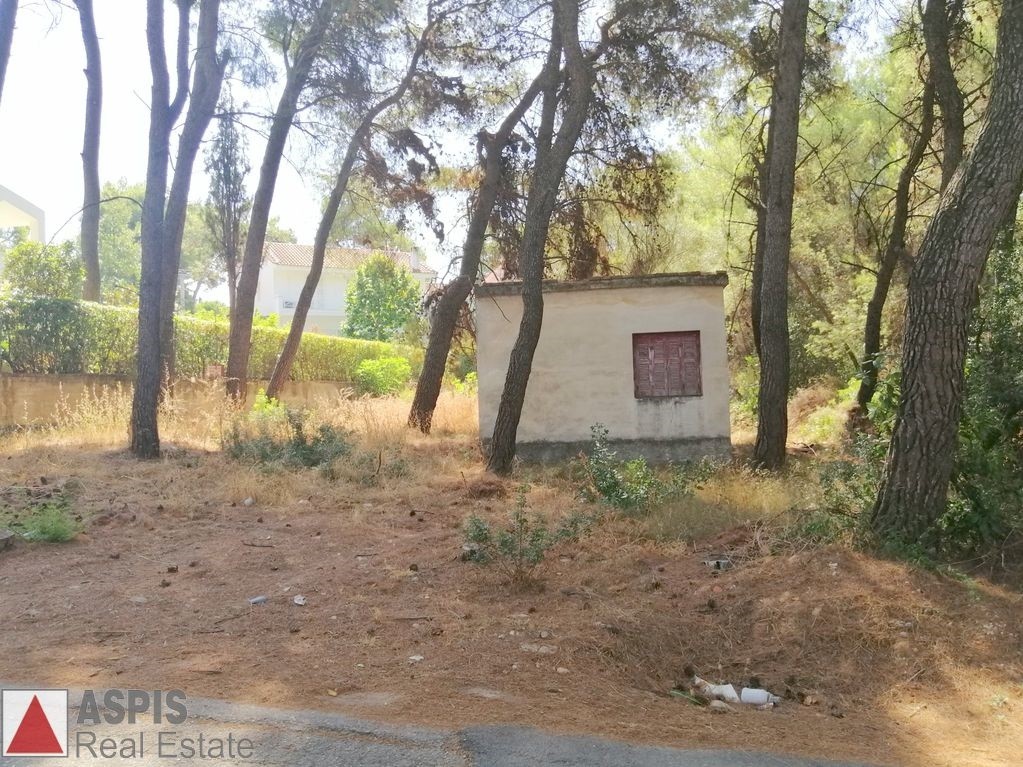 Οικόπεδο 834 τ.μ. προς πώληση, Άνοιξη