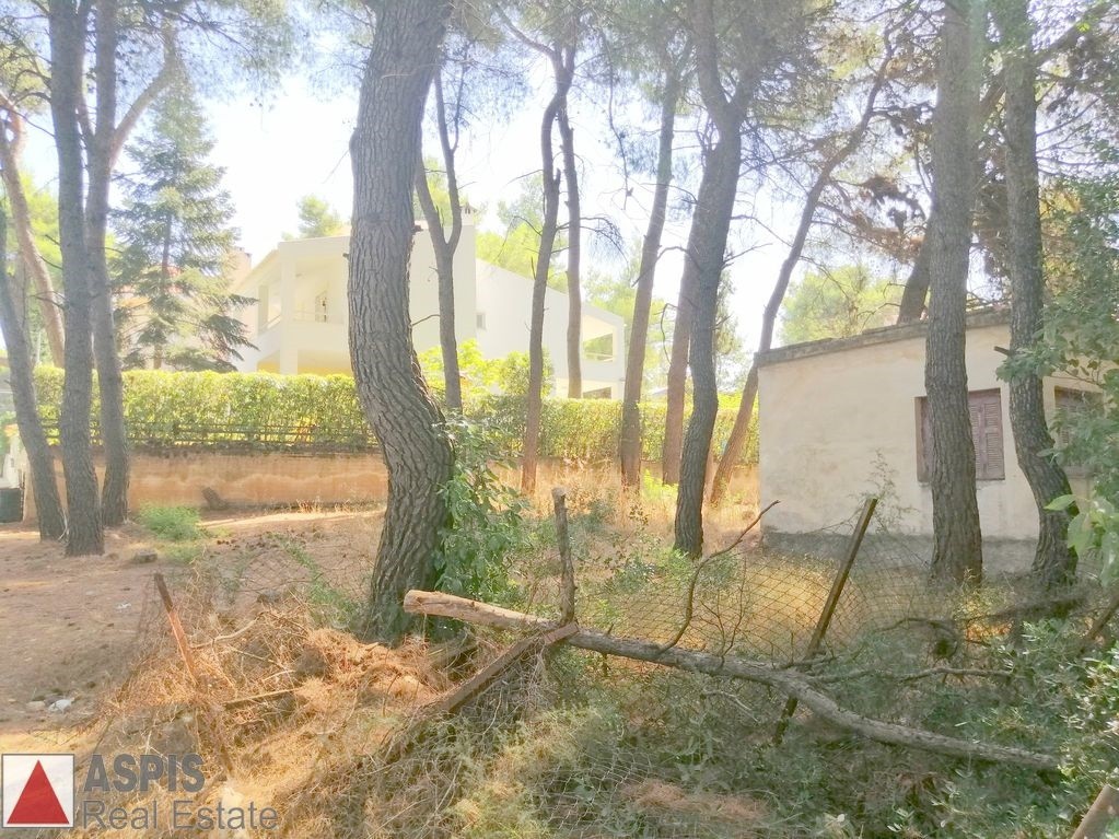 Οικόπεδο 834 τ.μ. προς πώληση, Άνοιξη