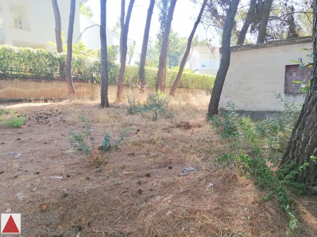 Οικόπεδο 834 τ.μ. προς πώληση, Άνοιξη