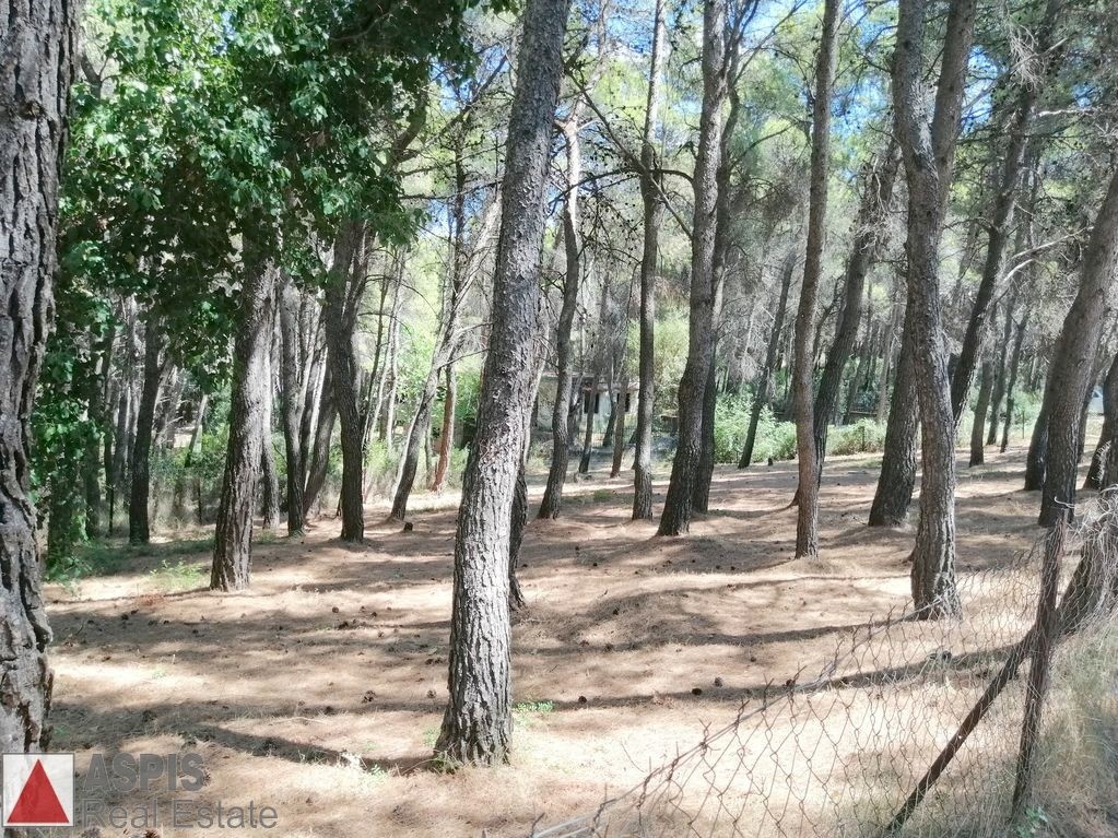 Οικόπεδο 733 τ.μ. προς πώληση, Άνοιξη