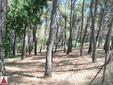 Οικόπεδο 733 τ.μ. για πώληση