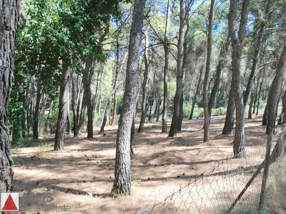 Οικόπεδο 733 τ.μ. για πώληση, Αθήνα - Βόρεια Προάστια, Άνοιξη