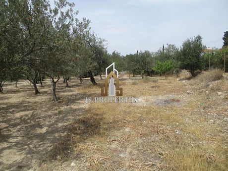 Οικόπεδο 1.200τ.μ. για πώληση-Αίγινα » Βαΐα