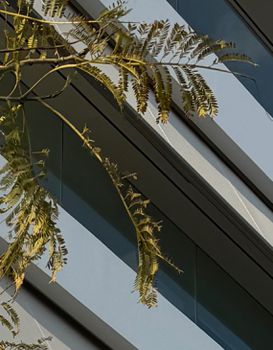 Μεζονέτα 80τ.μ. για πώληση-Ελληνικό » Κάτω ελληνικό