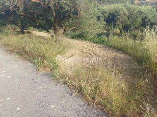 Αγροτεμάχια 3.000 τ.μ. για πώληση