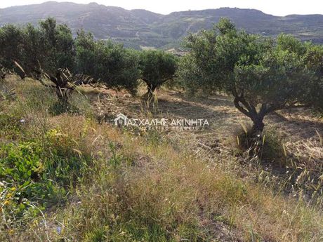 Αγροτεμάχια 9.000τ.μ. για πώληση-Αρκαλοχώρι » Πάρτιρα
