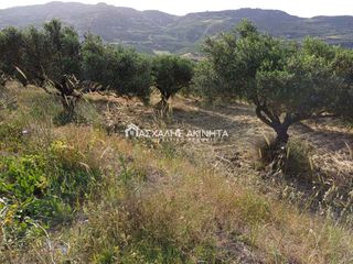 Parcel 9.000 sqm for sale