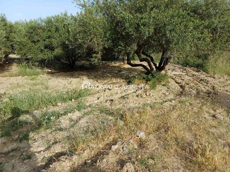 Αγροτεμάχια 1.000τ.μ. για πώληση-Αρκαλοχώρι » Πάρτιρα