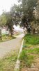 Land plot 1.036sqm for sale-Pylea