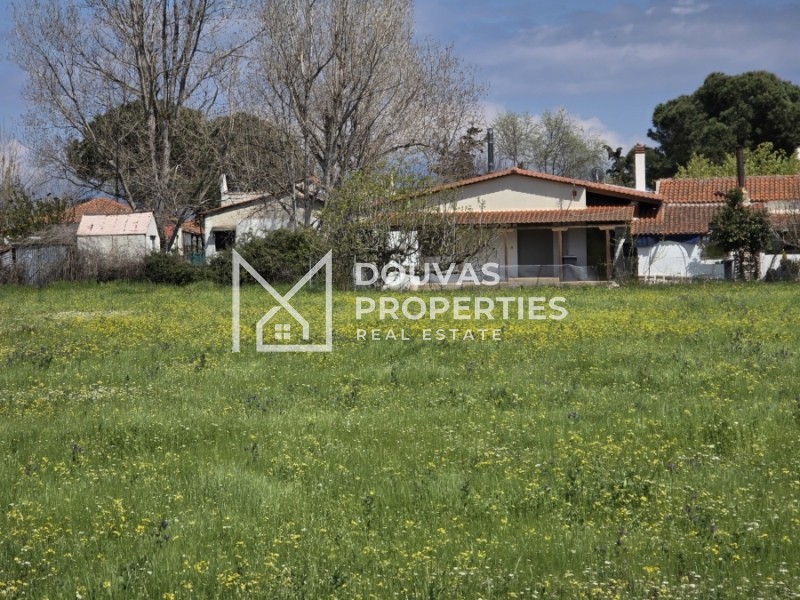 Αγροτεμάχια 730 τ.μ. προς πώληση, Παραλία Συκιάς