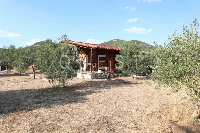 Αγροτεμάχια 1.850 τ.μ. πρός πώληση, Εβρος, Αλεξανδρούπολη
