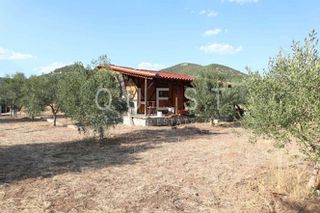 Αγροτεμάχια 1.850 τ.μ. για πώληση