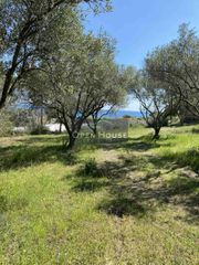 Αγροτεμάχια 3.625 τ.μ. για πώληση, Ν. Καβάλας, Ελευθερές-thumb-2