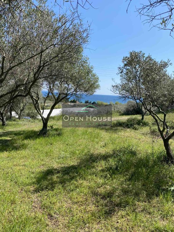 Αγροτεμάχια 3.625 τ.μ. για πώληση, Ν. Καβάλας, Ελευθερές