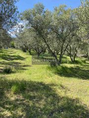 Αγροτεμάχια 3.625 τ.μ. για πώληση, Ν. Καβάλας, Ελευθερές-thumb-3