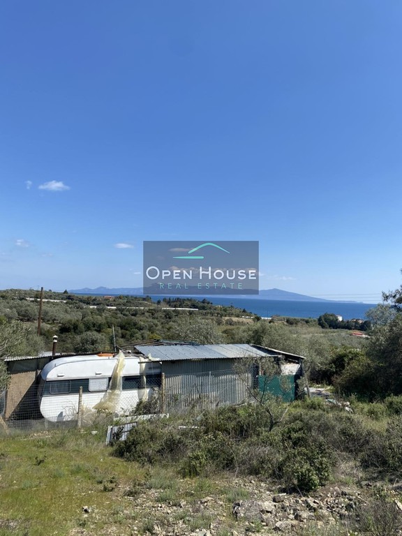 Αγροτεμάχια 3.625 τ.μ. πρός πώληση, Ν. Καβάλας, Ελευθερές
