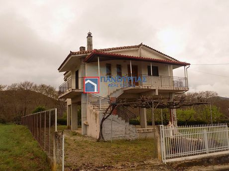 Μονοκατοικία 80τ.μ. για πώληση-Δομοκός » Νέος παλαμάς