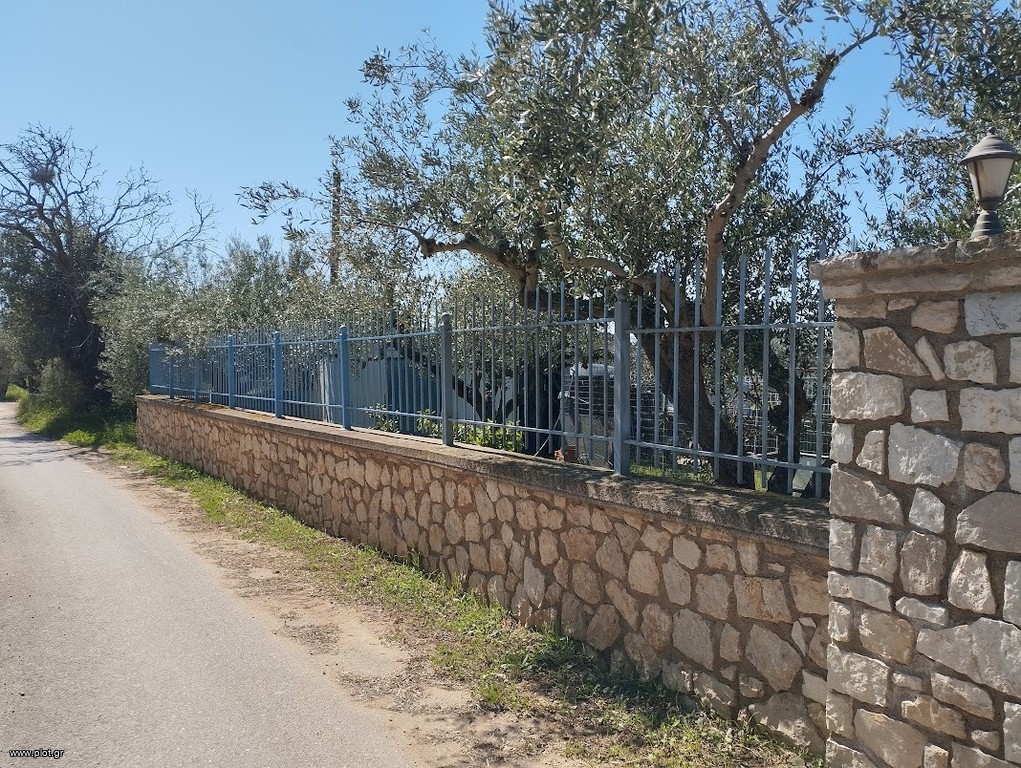 Μονοκατοικία 240 τ.μ. προς πώληση, Ρίκια