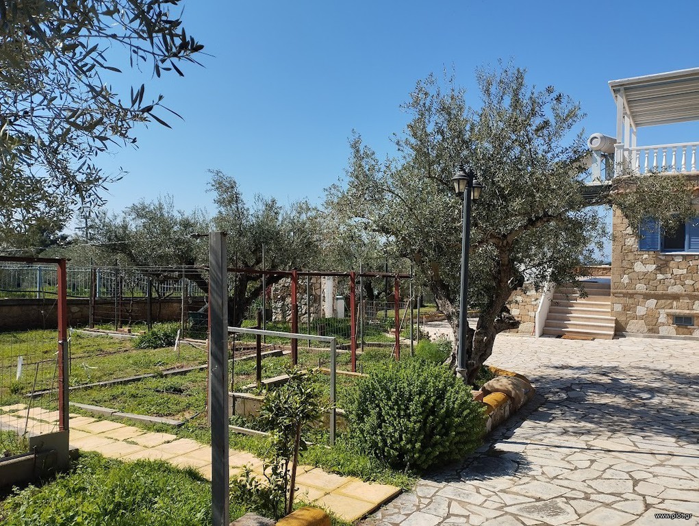 Μονοκατοικία 240 τ.μ. προς πώληση, Ρίκια
