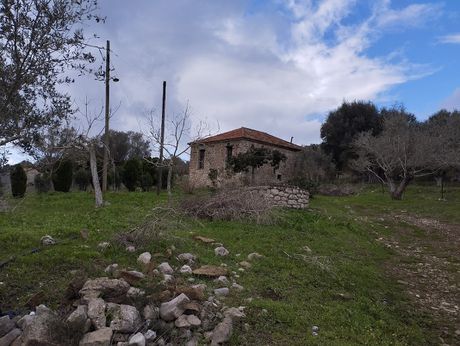 Μονοκατοικία 70τ.μ. για πώληση-Πύλος » Κυνηγός